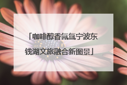 咖啡醇香氤氲宁波东钱湖文旅融合新图景